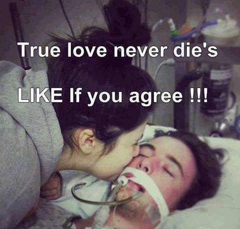quotes on love never dies quotes on love never dies